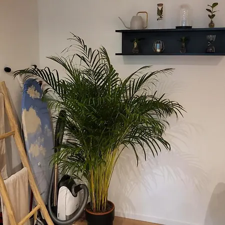 Апартаменты Modern Loft Near I Free Parking I Wifi Бохум