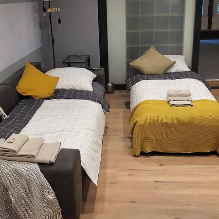 Apartment Modern Loft Near I Free Parking I Wifi Bochum
